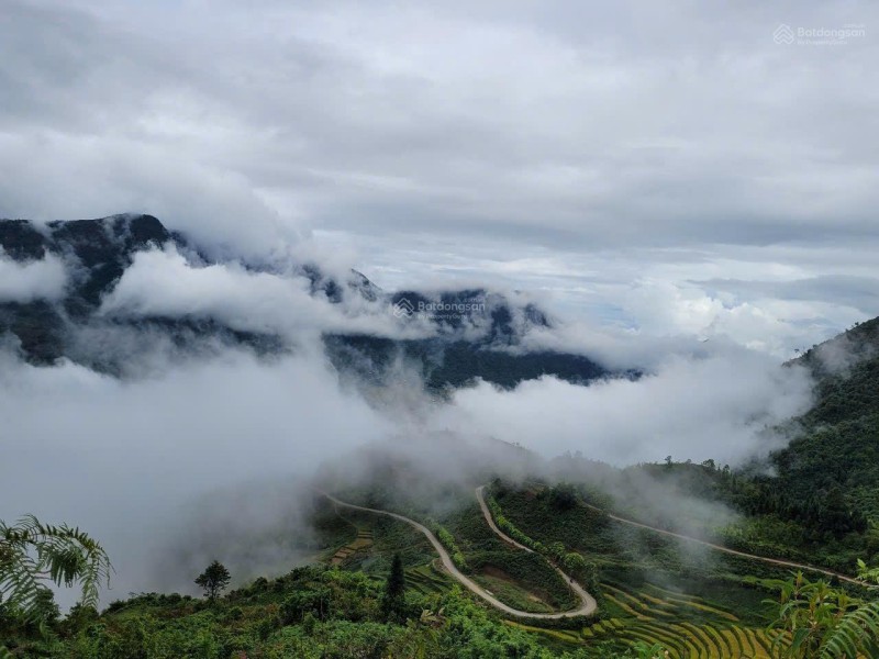 Chính chủ bán 3000m2 đất thị xã Sapa, mặt đường chính, rộng, đẹp, phù hợp homesay, nhà hàng