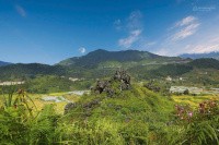 Chính chủ cần bán lô đất rộng 3,95ha, vị trí đẹp tại Xã Tả Phìn, cách trung tâm Sa Pa chỉ 8km