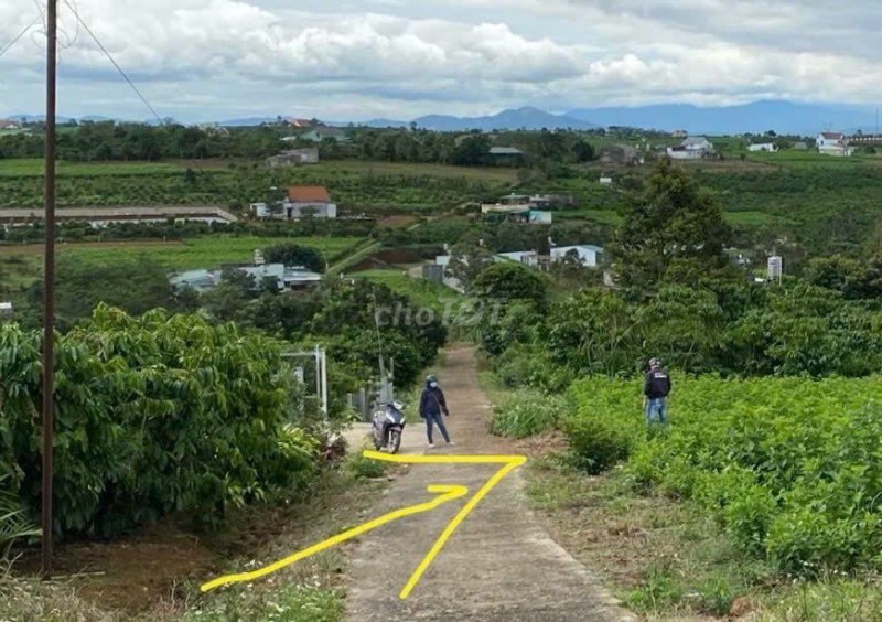 CHÍNH CHỦ CẦN BÁN LÔ ĐẤT TRIỀN ĐỒI VIEW ĐẸP – Phường 2, TP. Bảo Lộc
