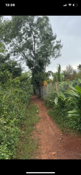 Chính chủ cần chuyển đổi