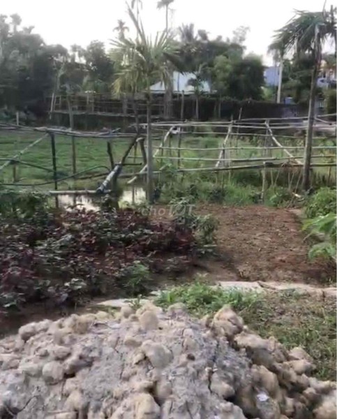 Đất 465m2 ngang 15m trục Kiều Đông, Hồng Thái hơn 500 triệu