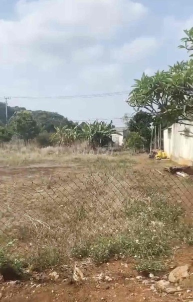 Đất Hai Mặt Tiền Đường Lớn 1300m2 Ở Thị Trấn Chư Păh Gia Lai