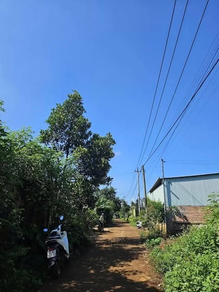 💥 Đất hẻm chính Lý Thường Kệt. Phường An Phú