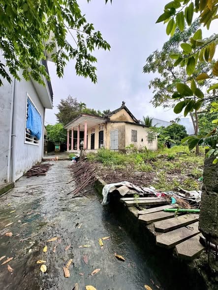 🍄🍄Đất kiệt oto Nguyễn Hữu Cảnh, gần Đại học Luật, giá rẻ