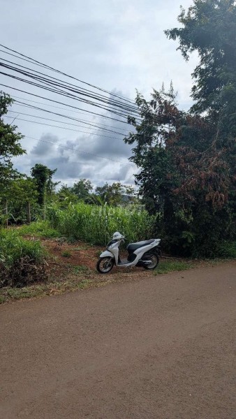 Đất mặt tiền(13.5 x 72m)