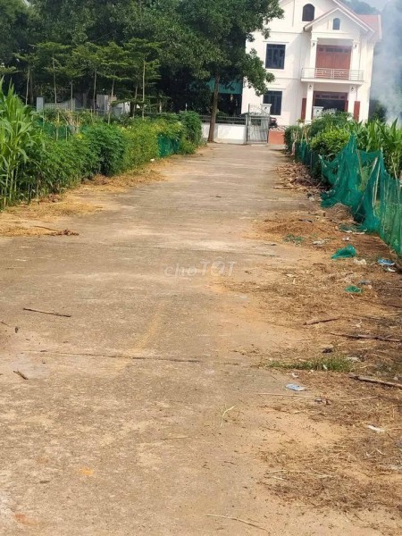 ĐẤT NỀN 120m2, ĐƯỜNG 12M, BĂNG 4 KHU DC ĐỒNG MỒNG XUNG, THANH ĐÌNH, VT