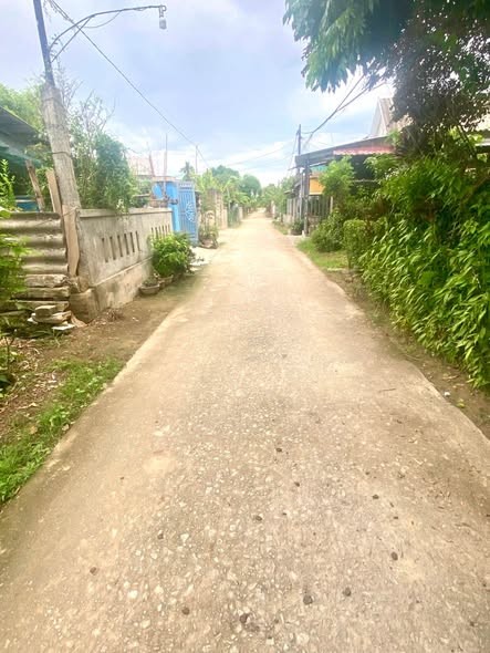 🔥Đất Nền TDP Hương Cần, phường Kim Trà (xã Hương Toàn cũ), TP Huế.