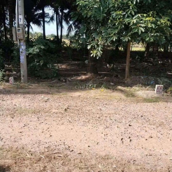đất nền thổ cư 199tr hết đất Gần chợ Mỏ Công ( Tân Biên) Tây Binh