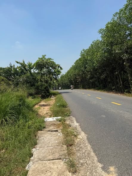 🏡 ĐẤT THỔ CƯ MẶT TIỀN 6.5M - SẴN SỔ - XÂY NHÀ Ở NGAY TẠI SƠN TỊNH- Q.NGÃI 🏡
