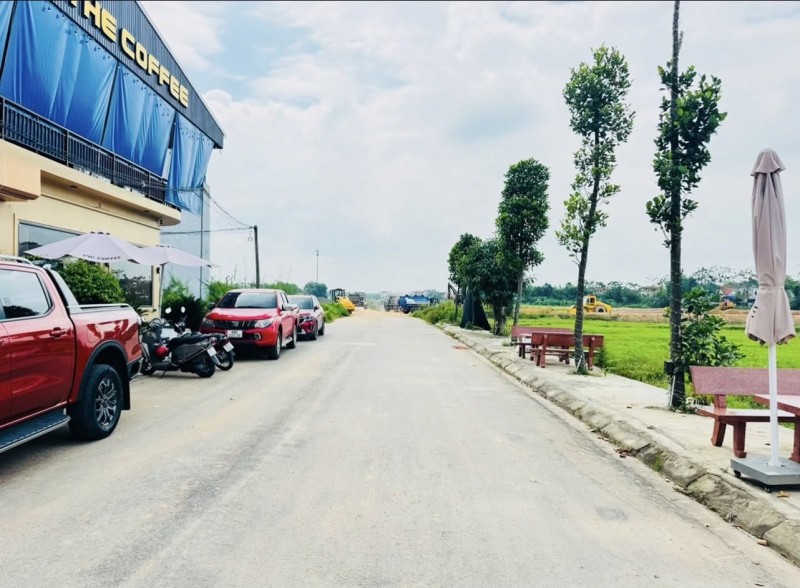 ✅Đấu giá Chi Chỉ - Đồng Cương- Yên Lạc