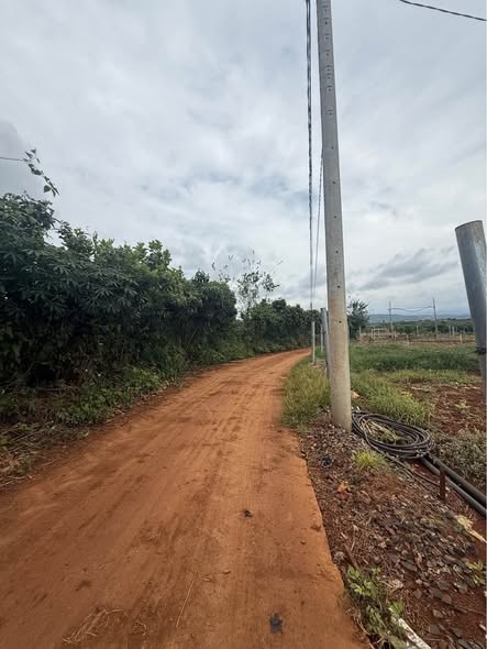 🔥 NGỘP CẦN BÁN GẤP 1.600M² ĐẤT – CHỈ 980 TRIỆU! 🔥
