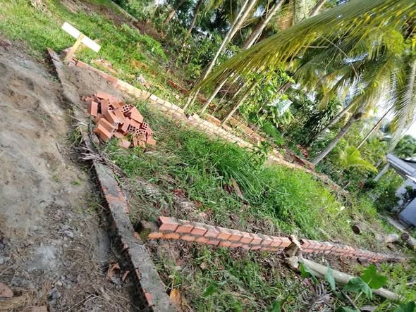 🏡 CHÍNH CHỦ BÁN NỀN THỔ CƯ GIÁ TỐT – CHỈ 320 TRIỆU - Ảnh 2
