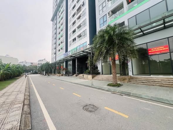 🏡 TRUST CITY PHỤNG CÔNG – 2N 1WC, 54,5M² – GIÁ 2,X TỶ - Ảnh 3