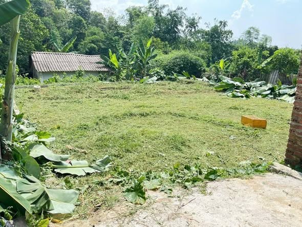 TOÀN BỘ LÀ ĐẤT Ở THUỘC TÔ 1 NGỌC XUÂN. Ô TÔ ĐỖ ĐẤT - Ảnh 1