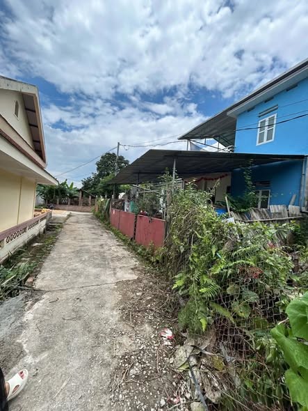 TOÀN BỘ LÀ ĐẤT Ở THUỘC TÔ 1 NGỌC XUÂN. Ô TÔ ĐỖ ĐẤT - Ảnh 2