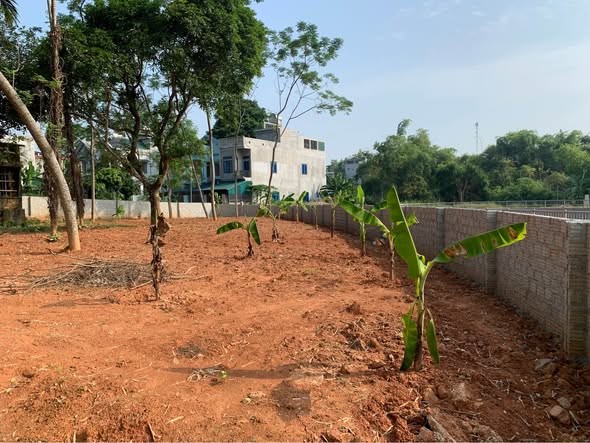 Bán đất TDP 7 An Tường. Vị trí cách đường Lê Đại Hành 100m, sát hồ Trung Việt. - Ảnh 1