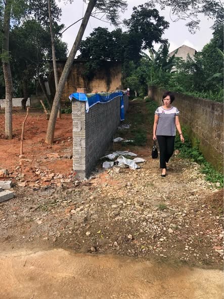 Bán đất TDP 7 An Tường. Vị trí cách đường Lê Đại Hành 100m, sát hồ Trung Việt. - Ảnh 3