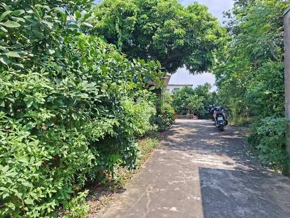 Lô đất rộng 5m sâu 32m có 100m đất ở, đặc biệt lô đất có 2 mặt tiền - Ảnh 2