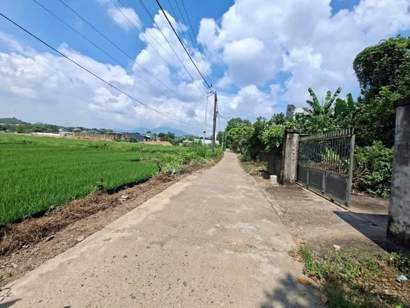 Lô đất rộng 5m sâu 32m có 100m đất ở, đặc biệt lô đất có 2 mặt tiền - Ảnh 4