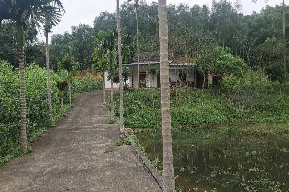 Hơn 1 Tỷ chút 🌹Cần bán gấp Cả nhà Ao cá và đất. Diện tích 7.500m . - Ảnh 1