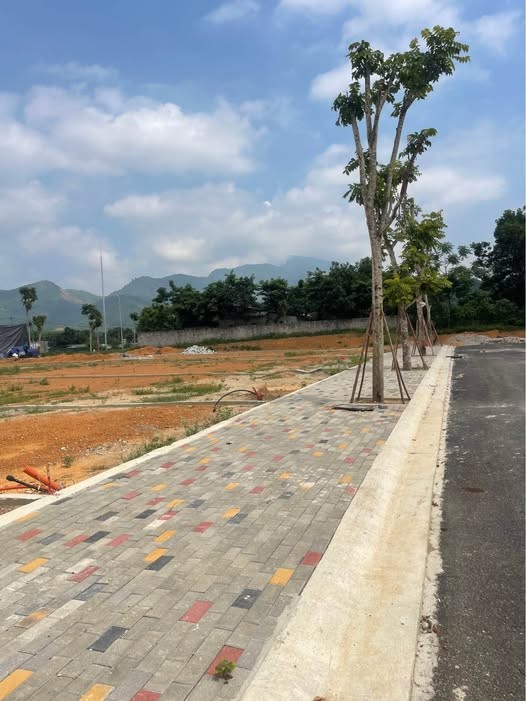 🔥🔥 HÀNG ĐẸP THÁI LONG – TDP 1, PHƯỜNG BÌNH THUẬN 🔥🔥 - Ảnh 1
