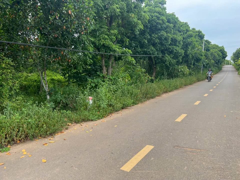 Bán 5.500m2 đất làm homestay, khu nghỉ dưỡng gần Bái Đính, Thung Ui - Ảnh 1