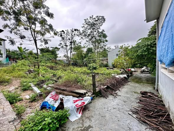 🍄🍄Đất kiệt oto Nguyễn Hữu Cảnh, gần Đại học Luật, giá rẻ - Ảnh 4
