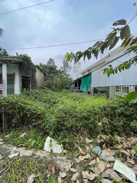 Bán đất đường Nguyễn Khoa Văn, Phú bài - Ảnh 3