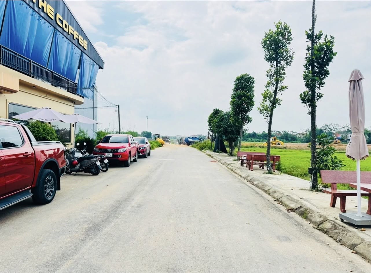 ✅Đấu giá Chi Chỉ - Đồng Cương- Yên Lạc - Ảnh 1