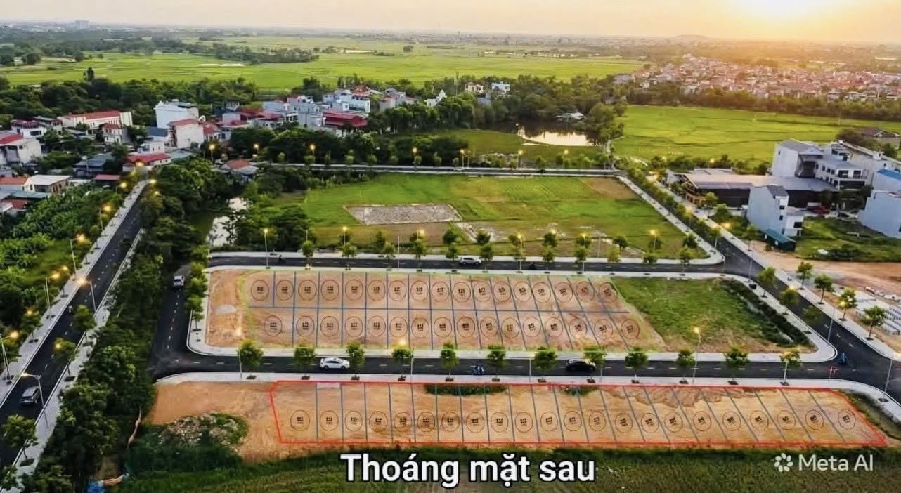 ✅Đấu giá Chi Chỉ - Đồng Cương- Yên Lạc - Ảnh 4