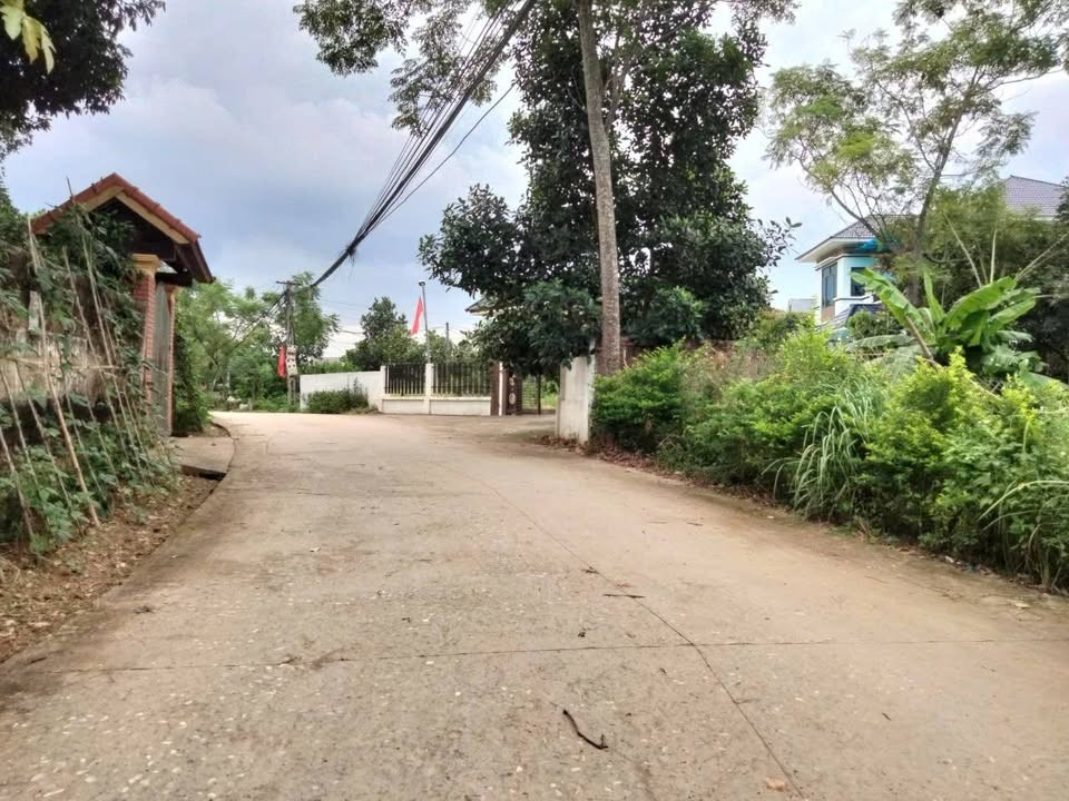 🚨 GĐ VỠ NỢ – CẦN BÁN NHANH!  999tr ô đất tặng nhà - Ảnh 3