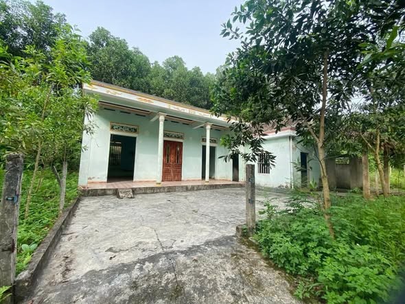 👉 Hơn 300 triệu 🌟 🇻🇳 PHÚ THỌ Cả nhà và đất Diện tích 2.400m . - Ảnh 2