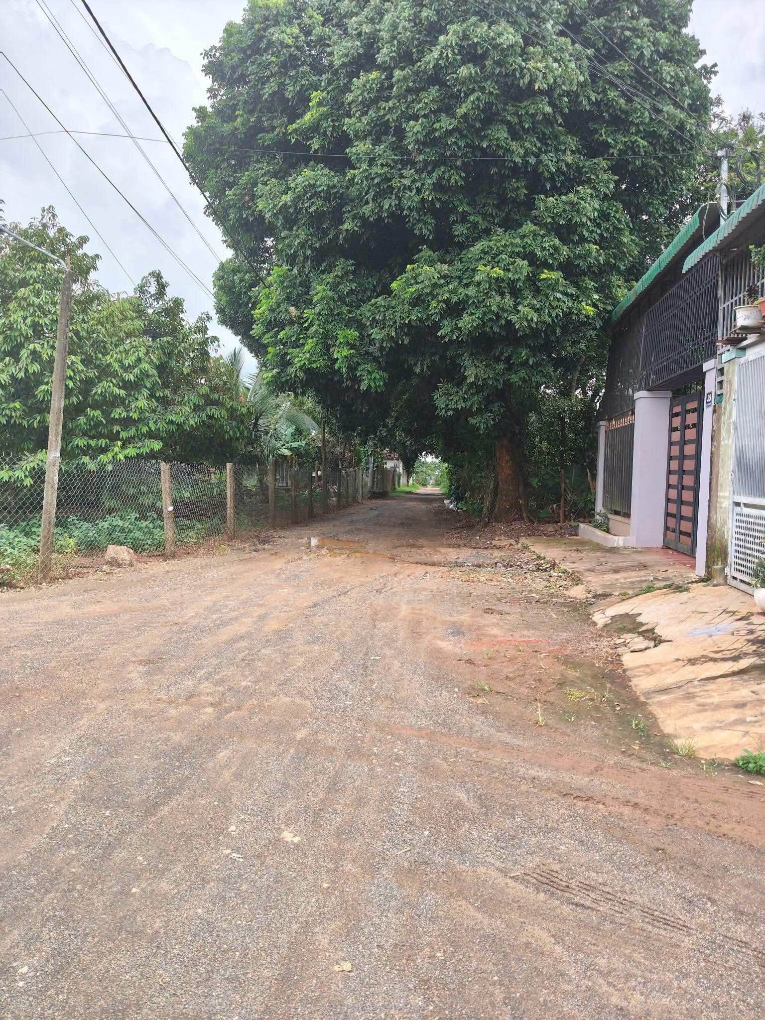 Bán nhà góc ngã 4, mặt tiền đường Lê Đại Hành - thị trấn Ea Kar