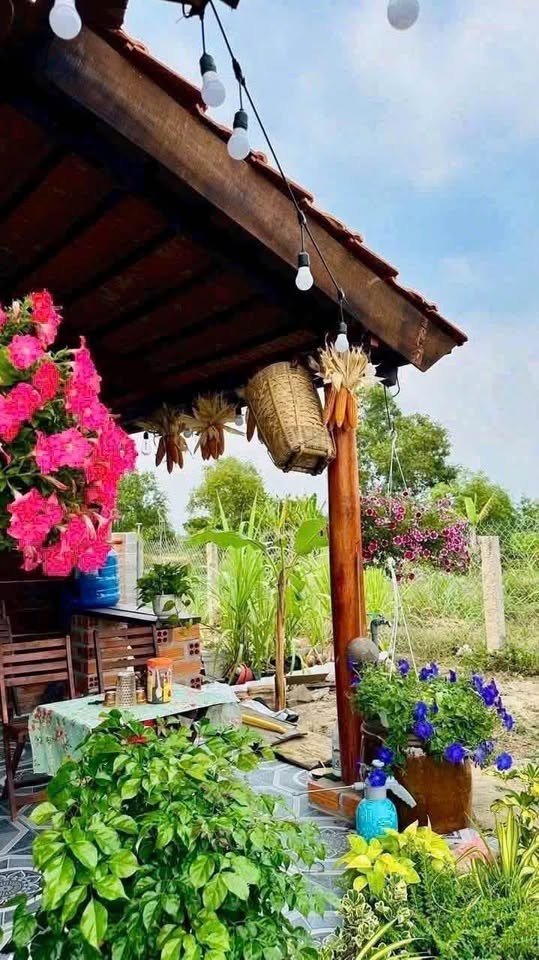 ➖Cần bán nhà vườn cực Chill tại Thuận Thành - Hàm Liêm- Lâm Đồng
