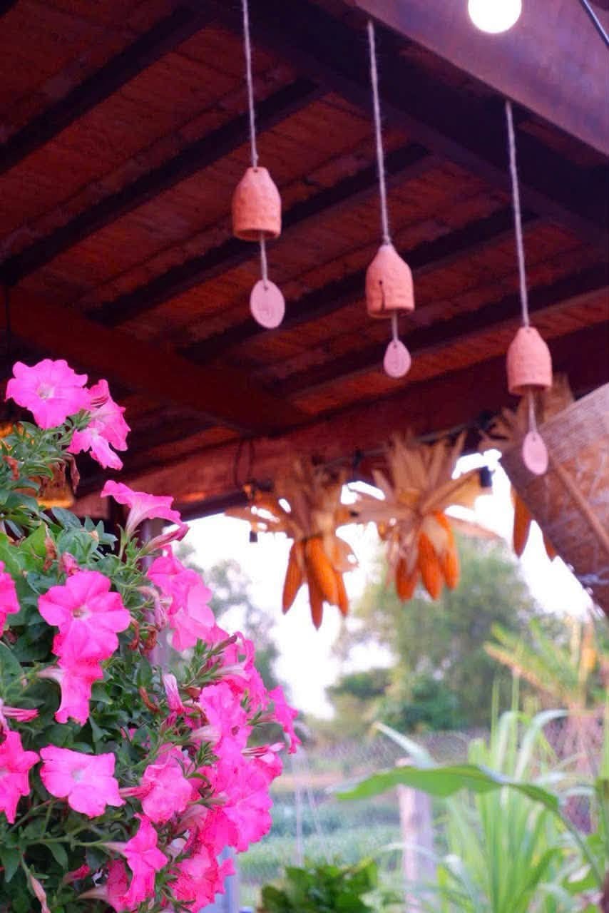 🌳 820 TRIỆU SỞ HỮU GẦN 800M² NHÀ VƯỜN TẠI HÀM LIÊM! 🏡