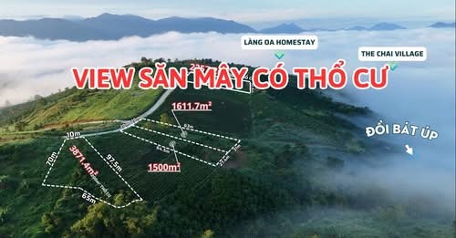 🔥VIEW SĂN MÂY CÓ THỔ CƯ🔥 - Ảnh 1