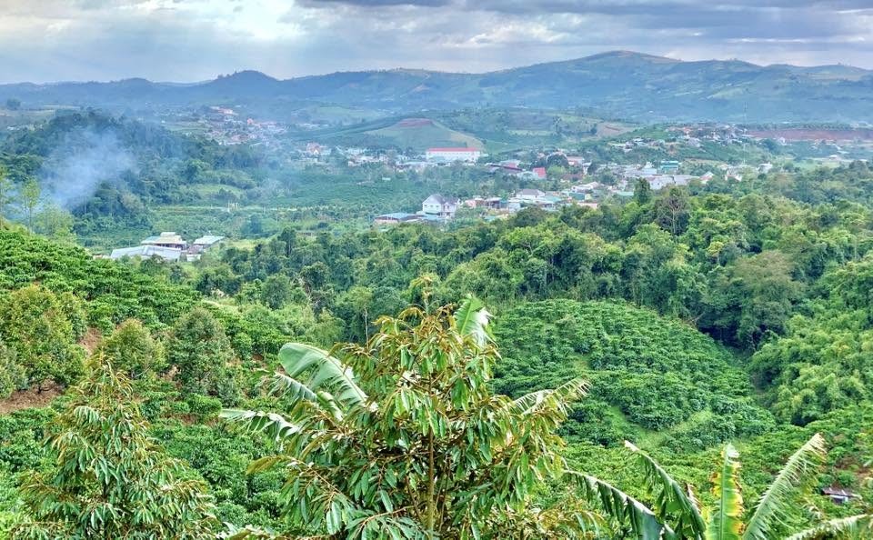 🔥 CHỈ 500 TRIỆU SỞ HỮU NGAY MẢNH VƯỜN NGHỈ DƯỠNG VIEW SIÊU ĐẸP - Ảnh 2