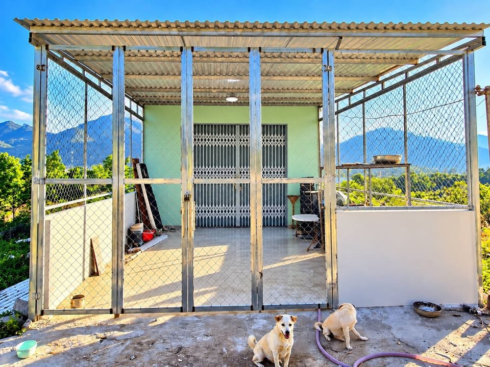 🏡 KẸT TIỀN BÁN NHANH NHÀ CẤP 4 PHƯỚC ĐỒNG – GIÁ 680 TRIỆU
