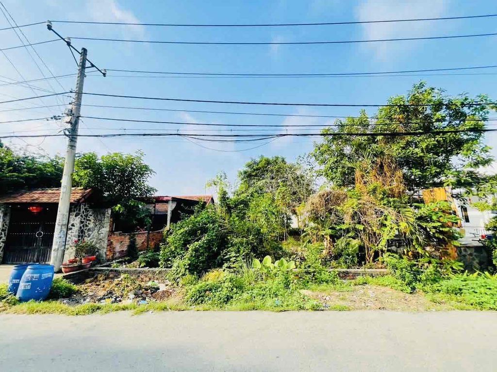 CHỦ NGỘP CẦN BÁN NHANH ĐẤT 408,5M' GẦN CHỢ VIỆT KIỀU, CỦ CHI - Ảnh 8