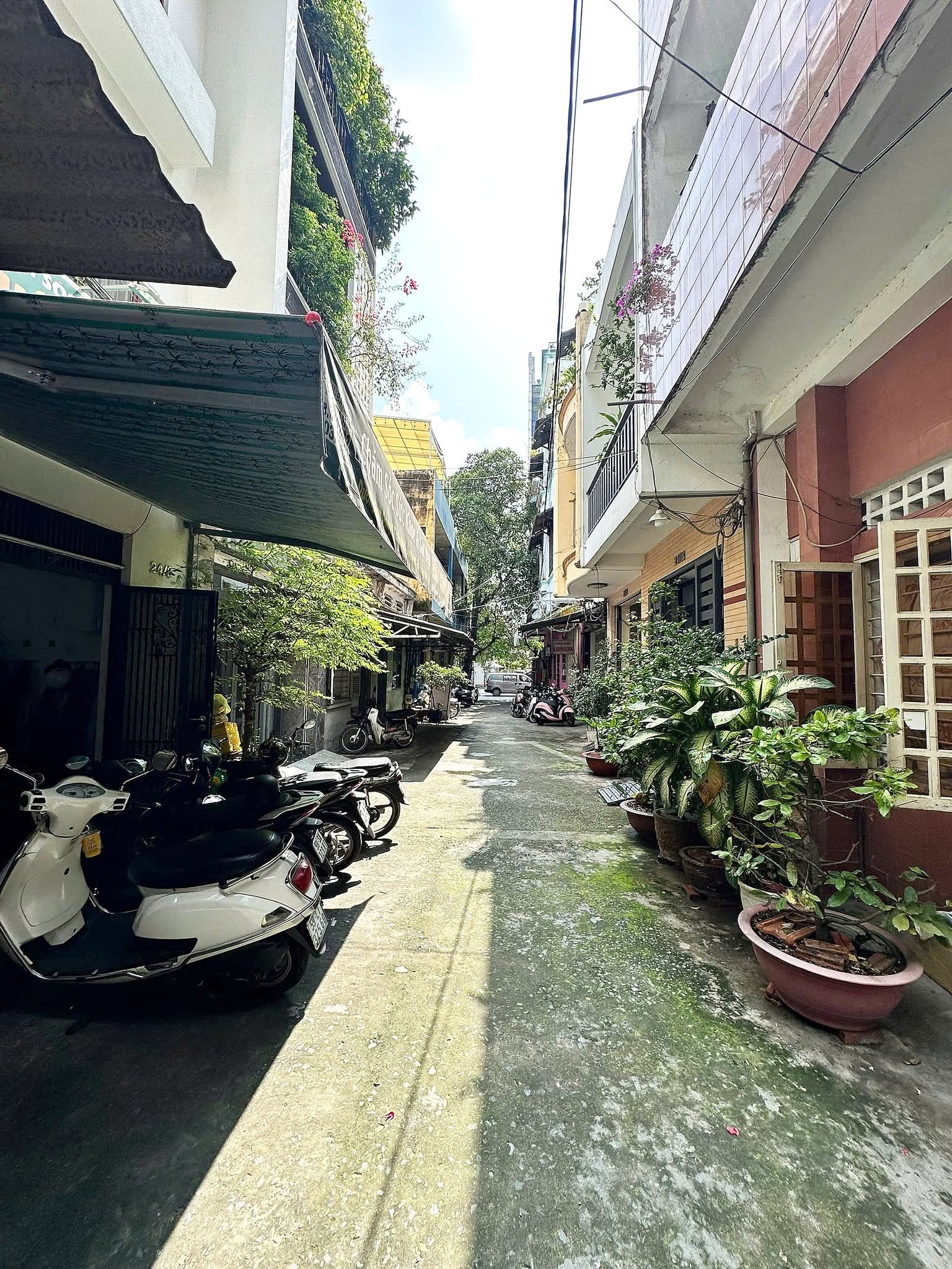 Bán nhà cỗ ở hẻm 24 hoàng hoa thám - Ảnh 10