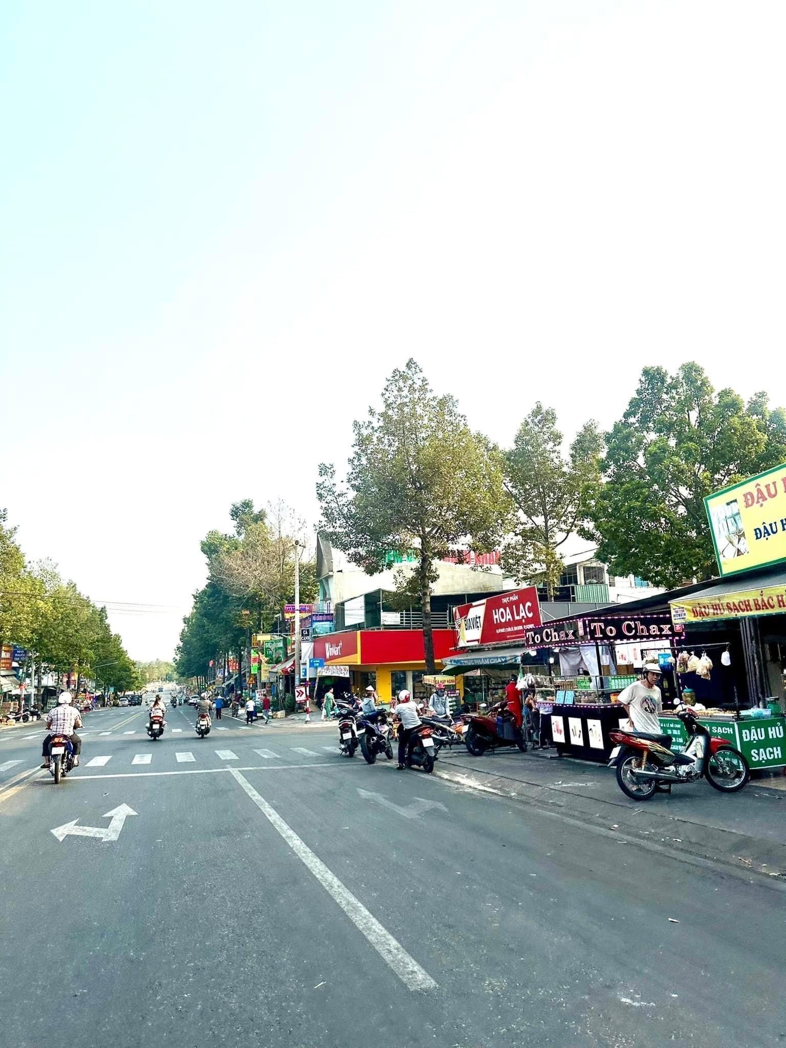 BÁN GẤP 3.000M2 GIÁ 195 TRIỆU, ĐẤT MT GẦN CHỢ, SỔ HỒNG RIÊNG - Ảnh 2