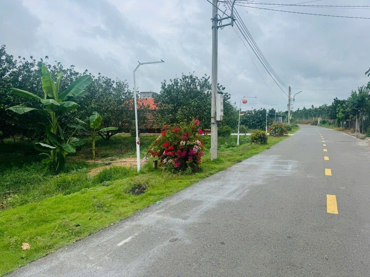 BÁN GẤP 3.000M2 GIÁ 195 TRIỆU, ĐẤT MT GẦN CHỢ, SỔ HỒNG RIÊNG - Ảnh 4