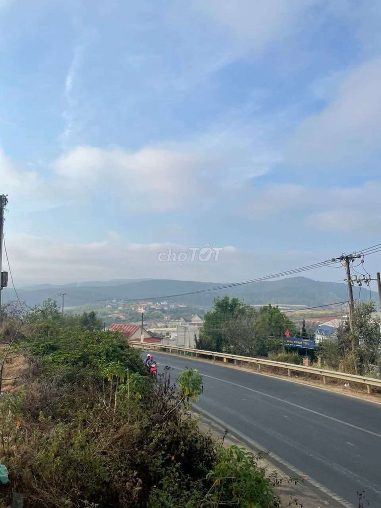 BÁN ĐẤT XD 3533m2 MT QL20 PHƯỜNG XUÂN TRƯỜNG TP ĐÀ LẠT - Ảnh 4