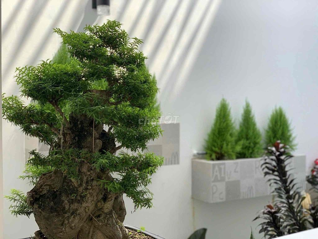 Bán Nhà Chính Chủ. Tiện Nghi đầy đủ full NT, Nhà mới ô tô đỗ trong sân - Ảnh 8