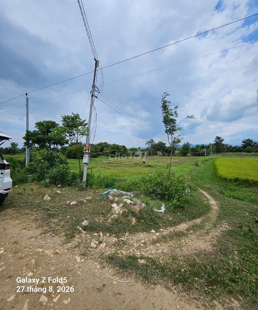 BÁN ĐẤT XÂY DỰNG TRANG TRẠI, HOMESTAY- BÌNH THUẬN 🔥 Giá siêu HOT: 7 tỷ