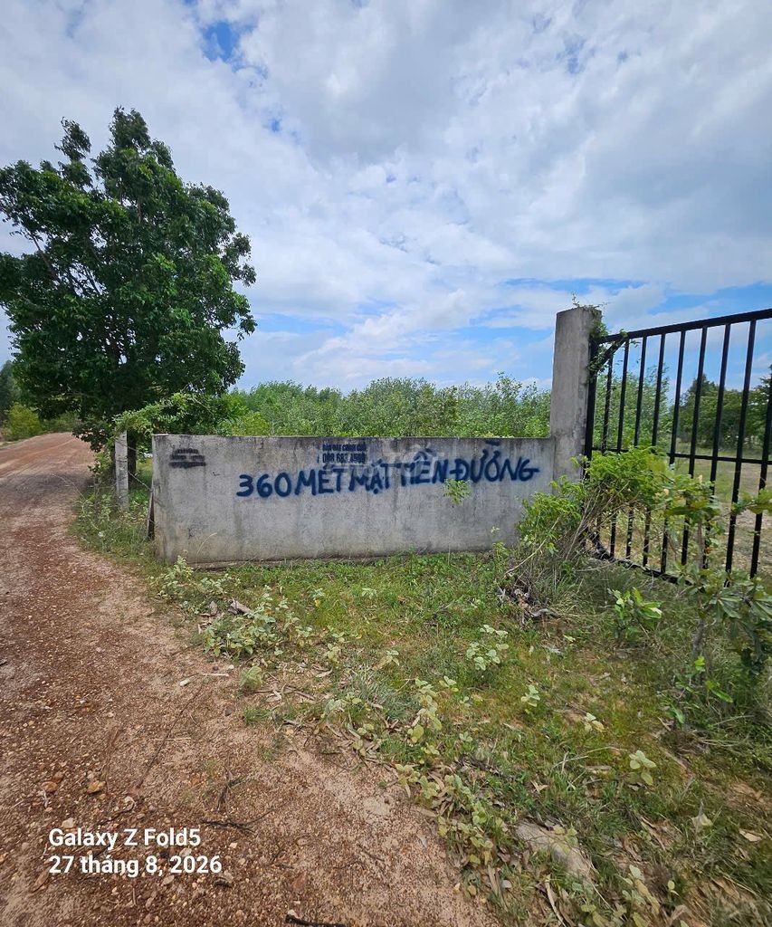 BÁN ĐẤT XÂY DỰNG TRANG TRẠI, HOMESTAY- BÌNH THUẬN 🔥 Giá siêu HOT: 7 tỷ