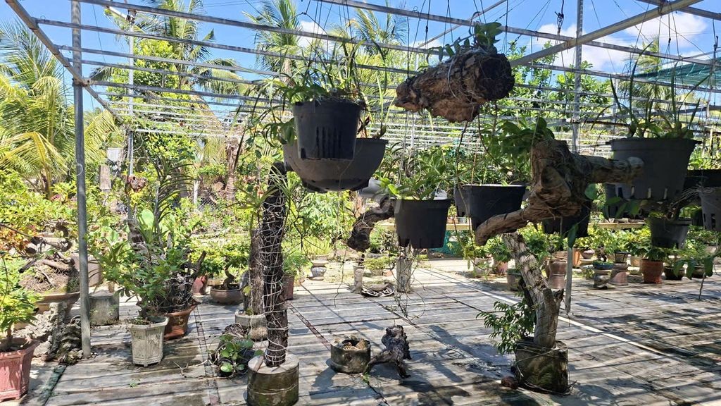 Bán nhà đẹp rộng ở Phú Yên - Ảnh 4