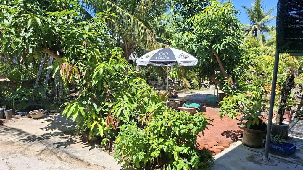 Bán nhà đẹp rộng ở Phú Yên - Ảnh 5
