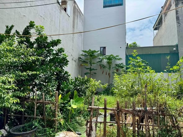 🔥 BÁN LÔ ĐẤT KHU BẮC TRẦN HƯNG ĐẠO – HÒA BÌNH 🔥 - Ảnh 1