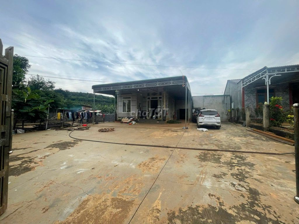 Chính chủ bán nhà vườn 1.600m² mặt đường bê tông tại Đắk Mil, có 100m² thổ cư